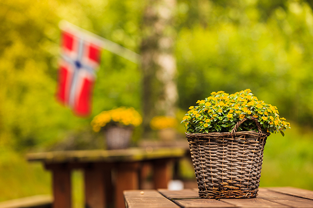 Den årlige dugnaden på Røed