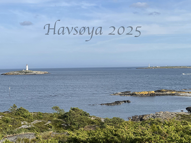 Sommerfest og presidentskifte på Havsøya